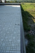 DSC09121.JPG